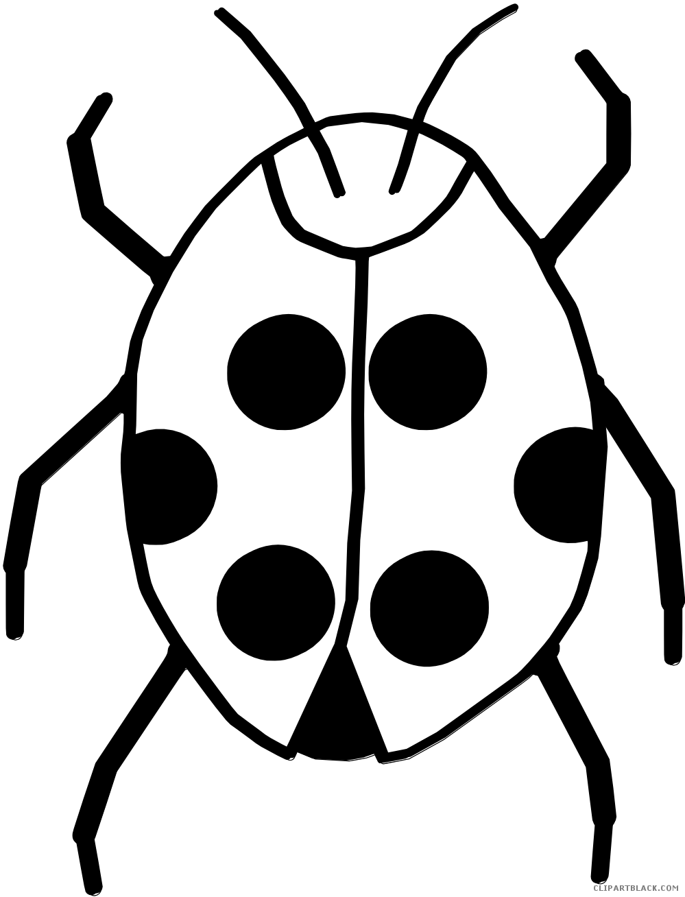 ladybugs clipart black and white