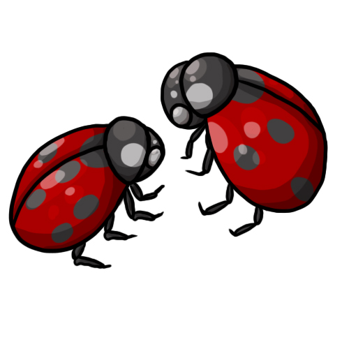 ladybugs clipart drawing