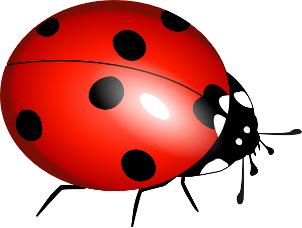 Ladybug clip art at. Ladybugs clipart l be for
