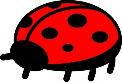ladybugs clipart red animal