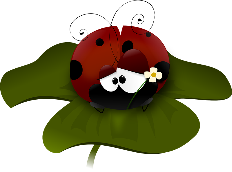 Free animated ladybug download. Ladybugs clipart school