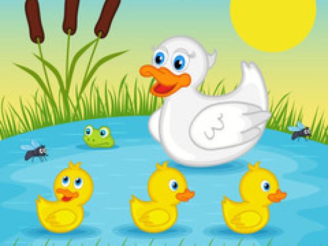 Lake clipart duck pond, Lake duck pond Transparent FREE for download on ...