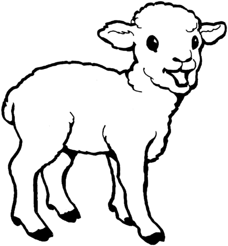 Little coloring page free. Lamb clipart lam