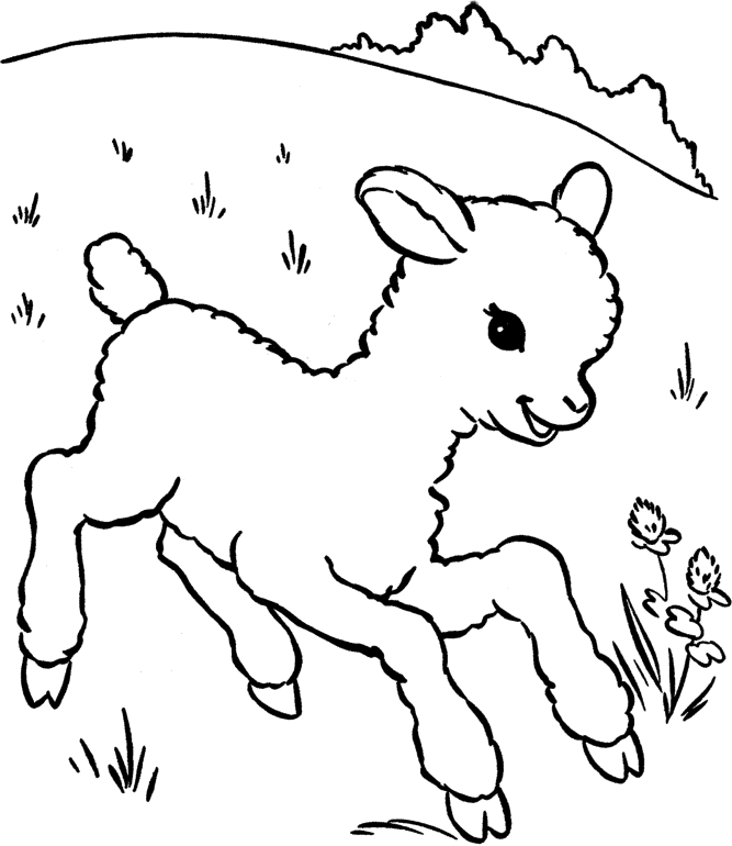 outline clipart sheep