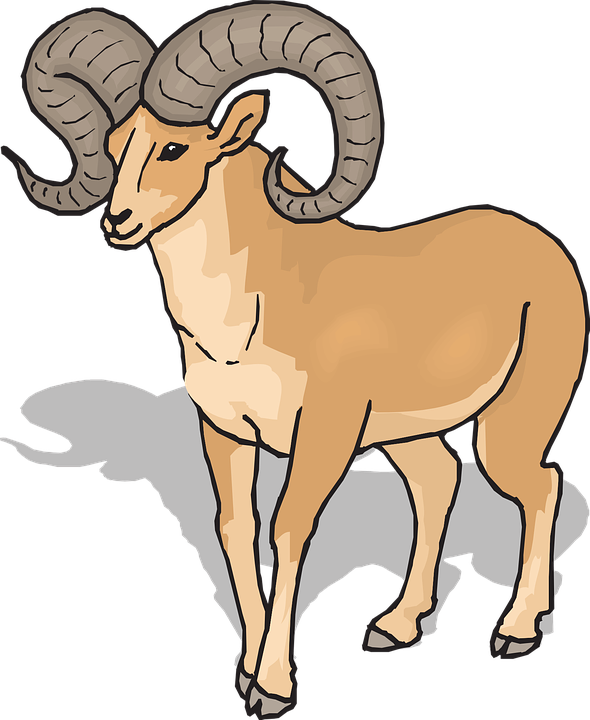 Animal free download best. Lamb clipart ram