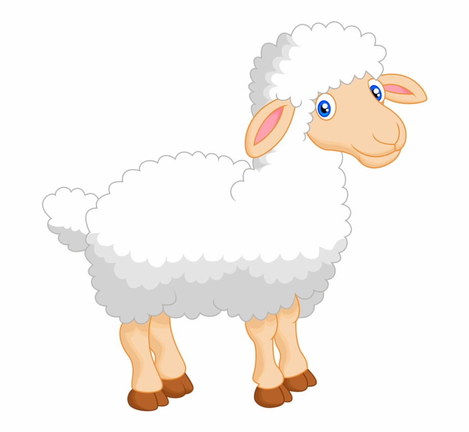 lamb clipart shee