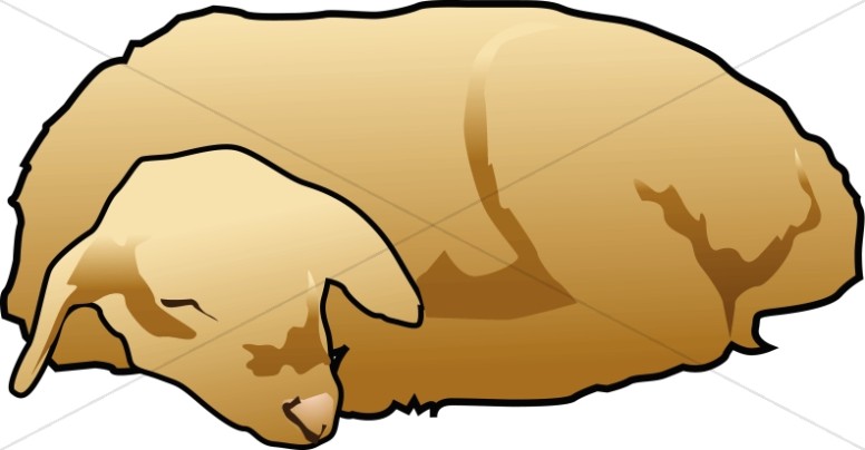 Lamb clipart sleeping. The christian shepherd 