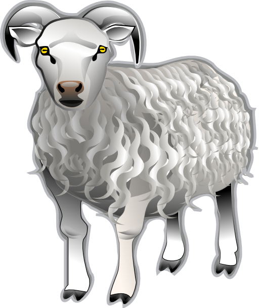 lamb clipart vertebrate