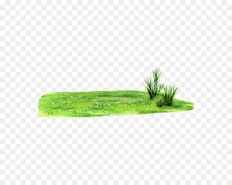 land clipart grass land