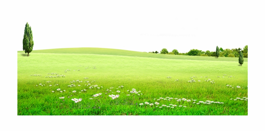 land clipart grass land