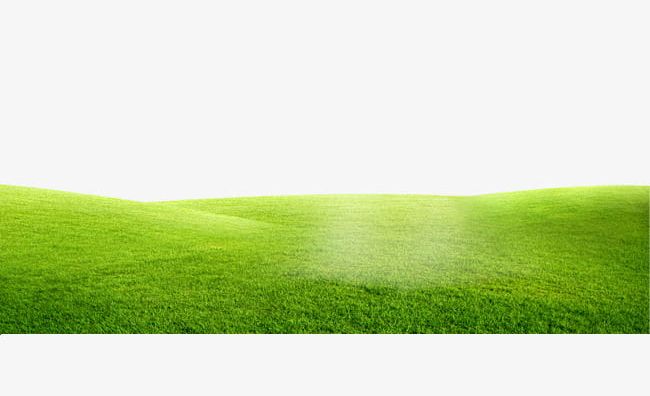 land clipart green lawn