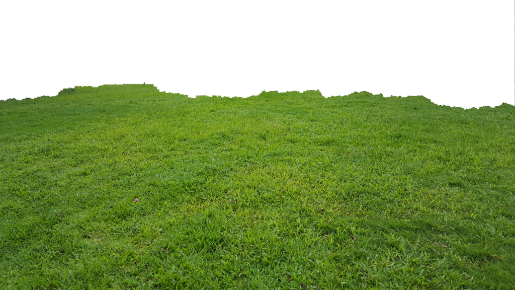 land clipart green pasture
