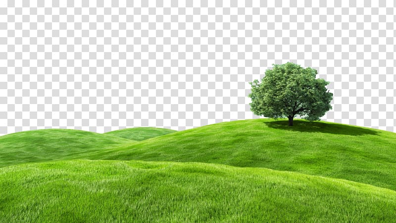 land clipart greenery