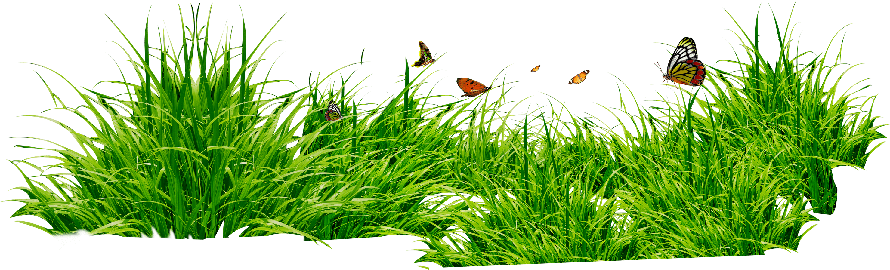 land clipart greengrass