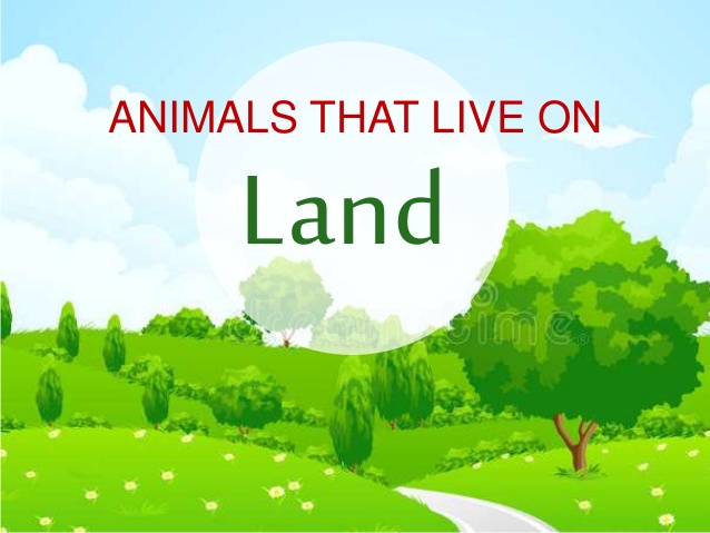 Animal water and both. Land clipart land habitat