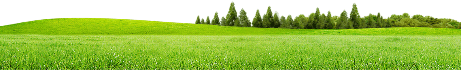 land clipart meadow