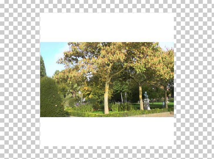 Land clipart park landscape. Lot ecosystem real property