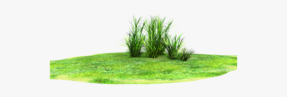 land clipart patch grass