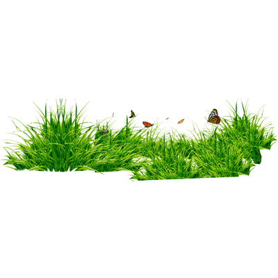 land clipart patch grass