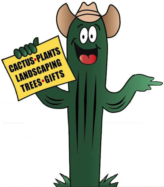 A couple of green. Landscape clipart cactus