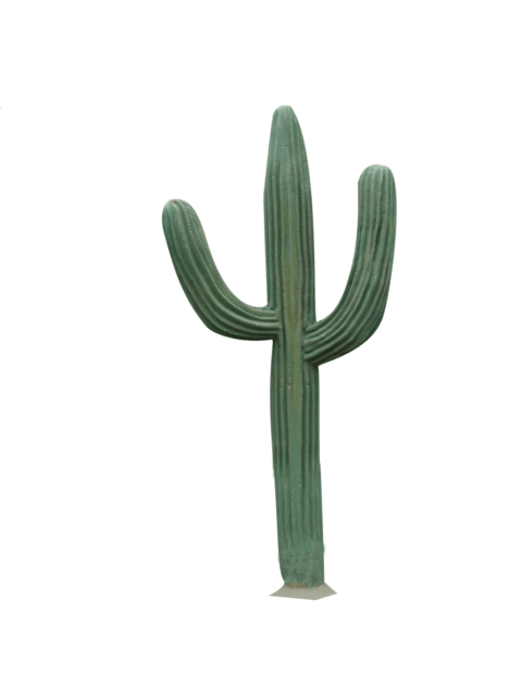 Landscape clipart cactus. Png free images toppng
