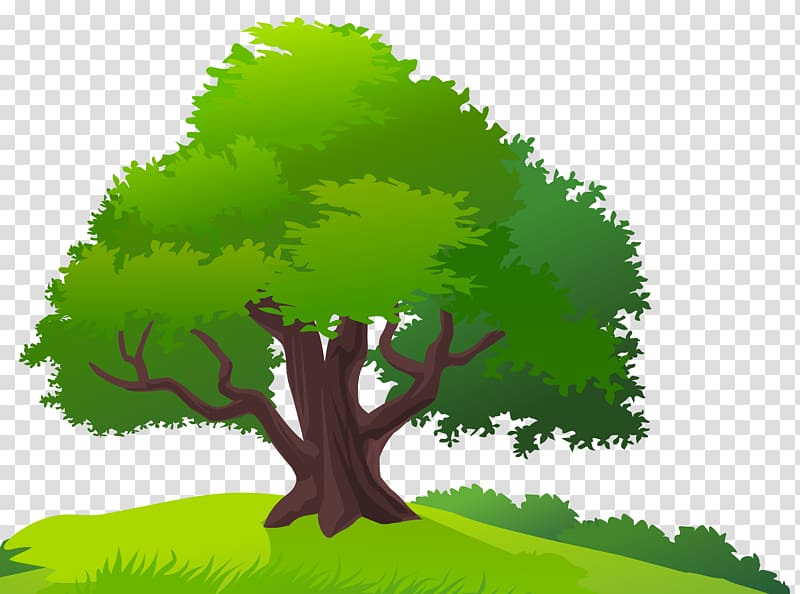 landscape clipart green tree