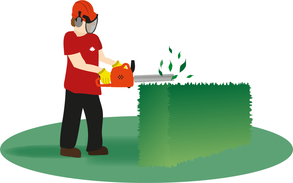 landscape clipart hedge cutting