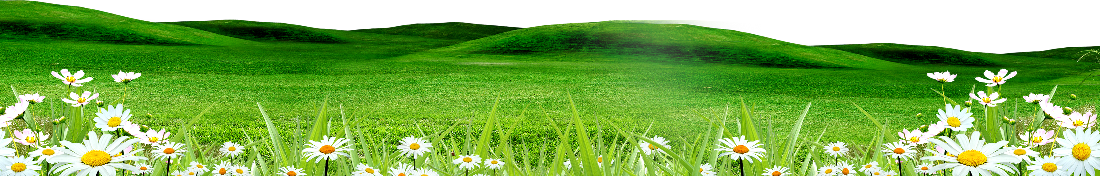 Landscaping clipart grass prairie. Download clip art free
