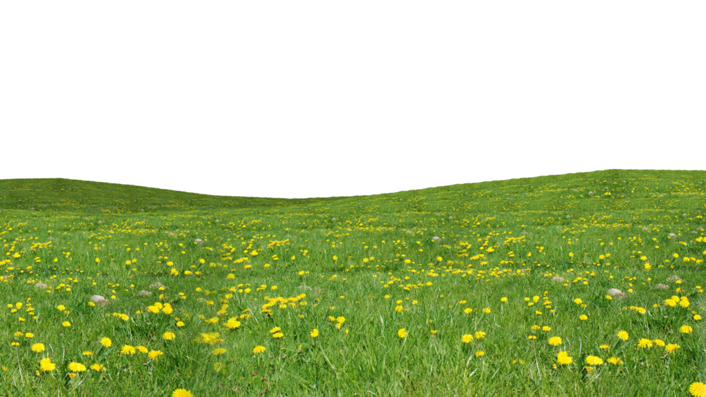 Landscaping clipart grass prairie. Newpngs july grassdownloadpng
