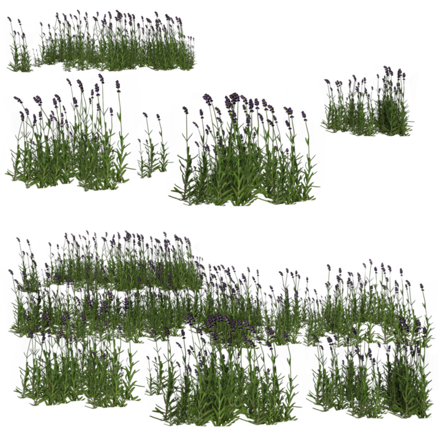 landscaping clipart marsh grass