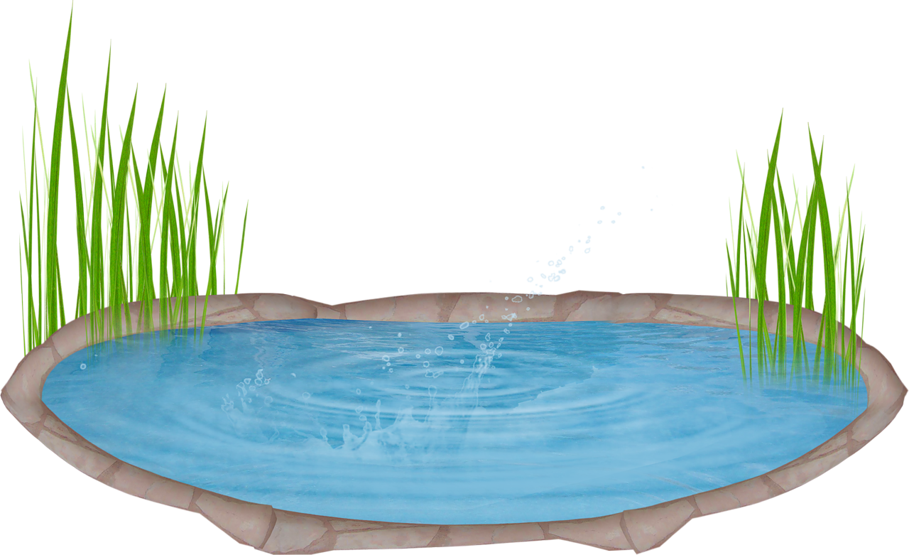 landscaping clipart pond grass