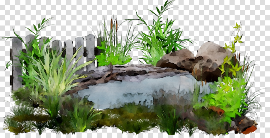 landscaping clipart pond grass
