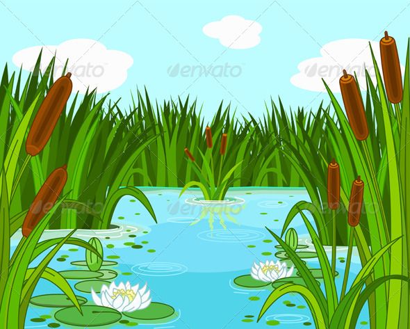 landscaping clipart pond reed