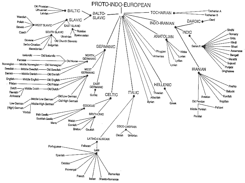 Language language tree