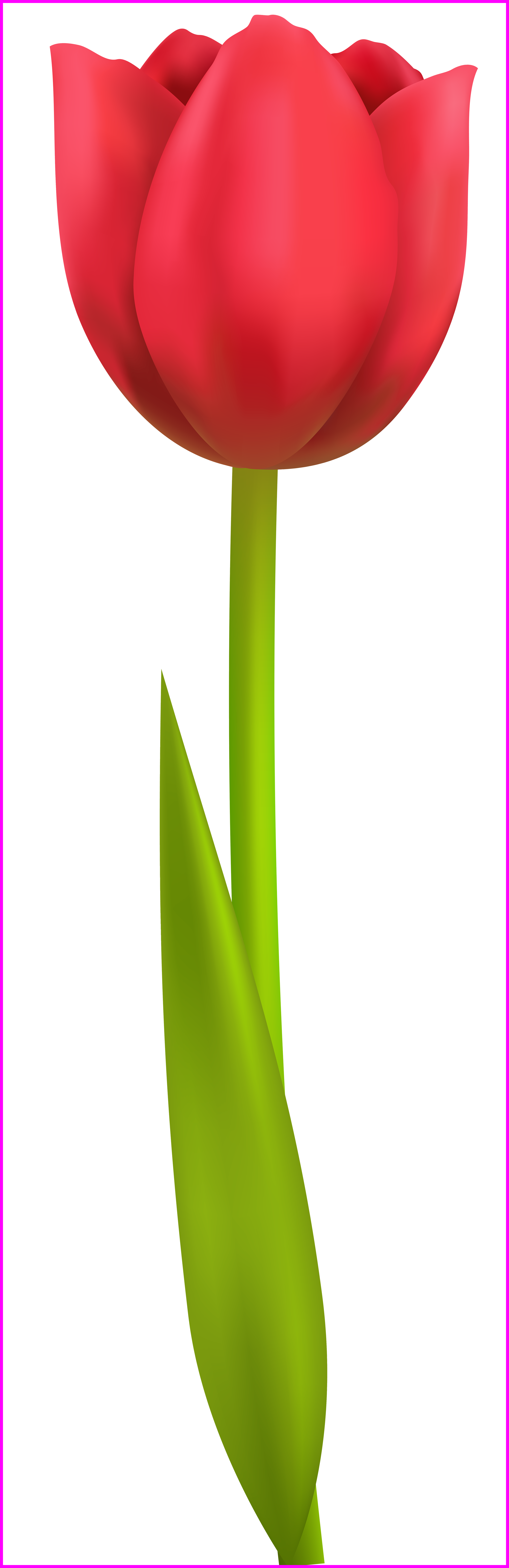 laundry clipart tidy clothes