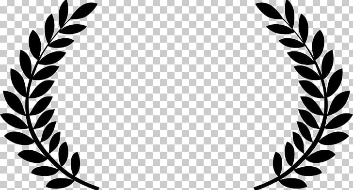 Laurel clipart festival. Sheffield doc fest guadalajara