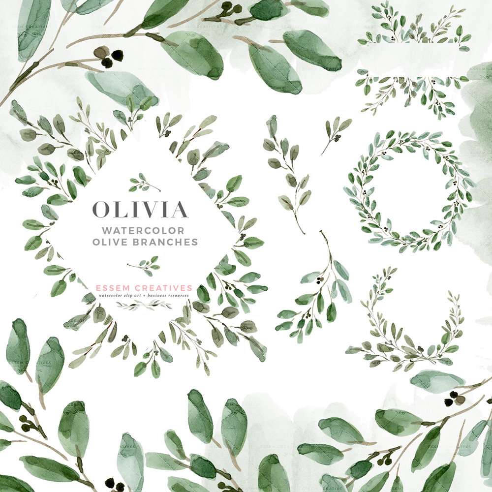 Laurel clipart foliage. Watercolor olive branch leaves