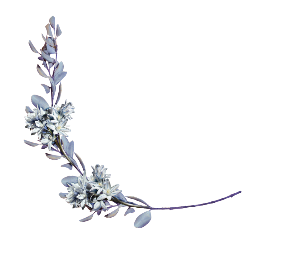 laurel clipart lavender