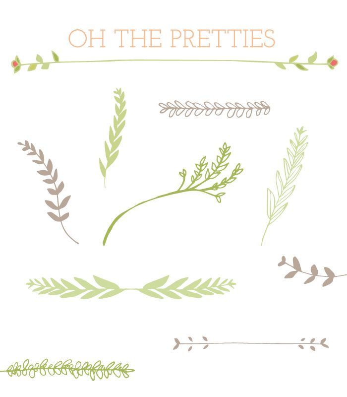 laurel clipart leaf stem