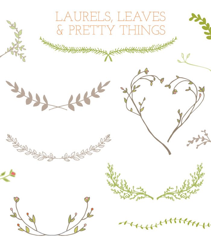 laurel clipart leaf stem