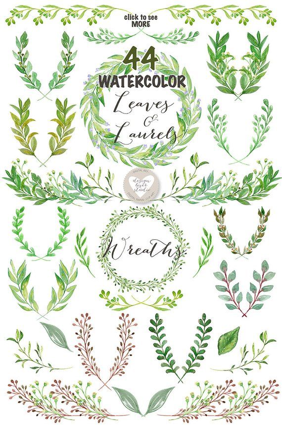Laurel clipart watercolor. Leaves and wreath wedding