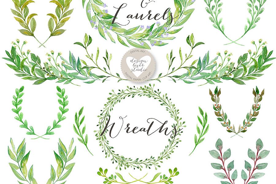 Laurel clipart watercolor. Leaves and wreath clip
