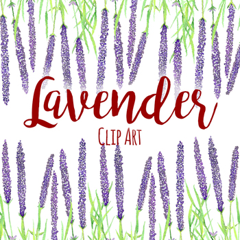 lavender clipart