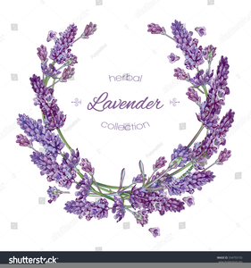 lavender clipart borders