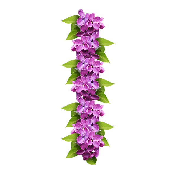 lavender clipart delphinium