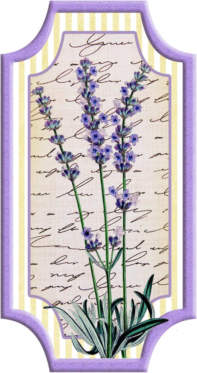 Digi stemple by alicecreations. Lavender clipart delphinium