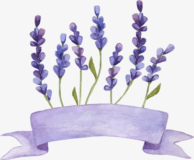 lavender clipart file