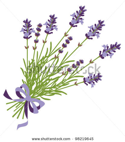 lavender clipart lavender plant