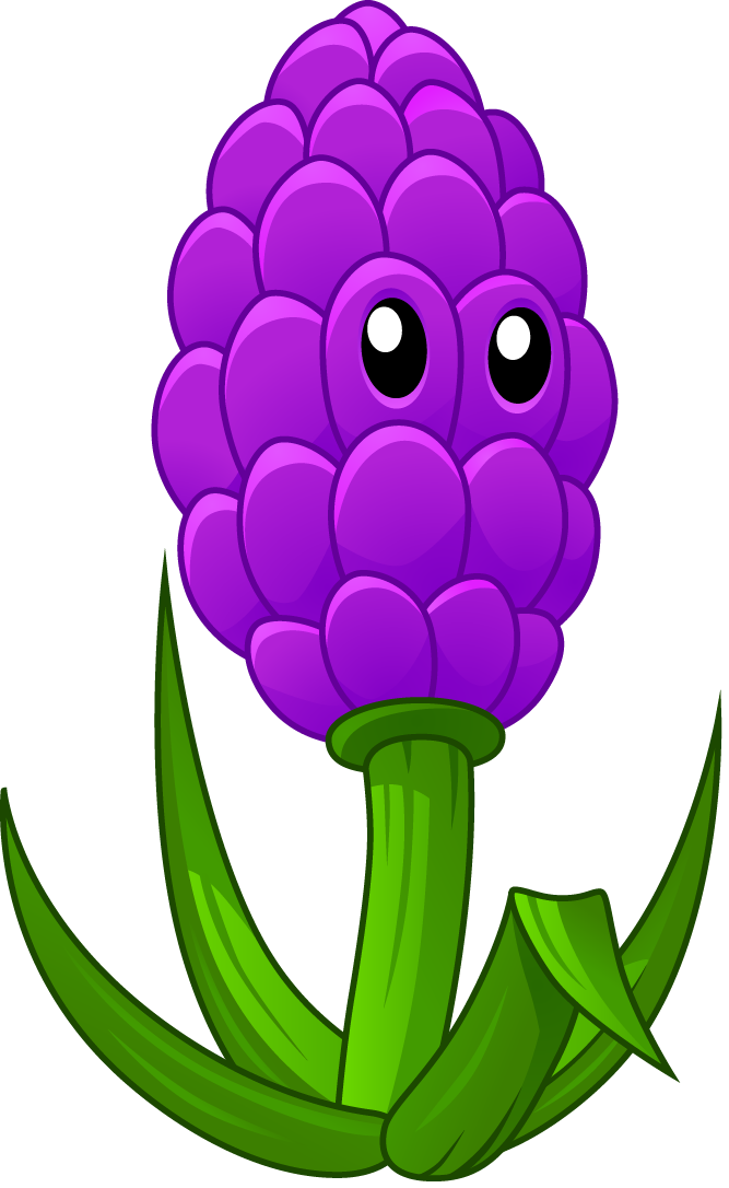Lavender clipart lavender plant, Lavender lavender plant Transparent