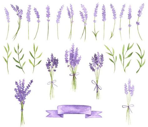 lavender clipart lavender wedding